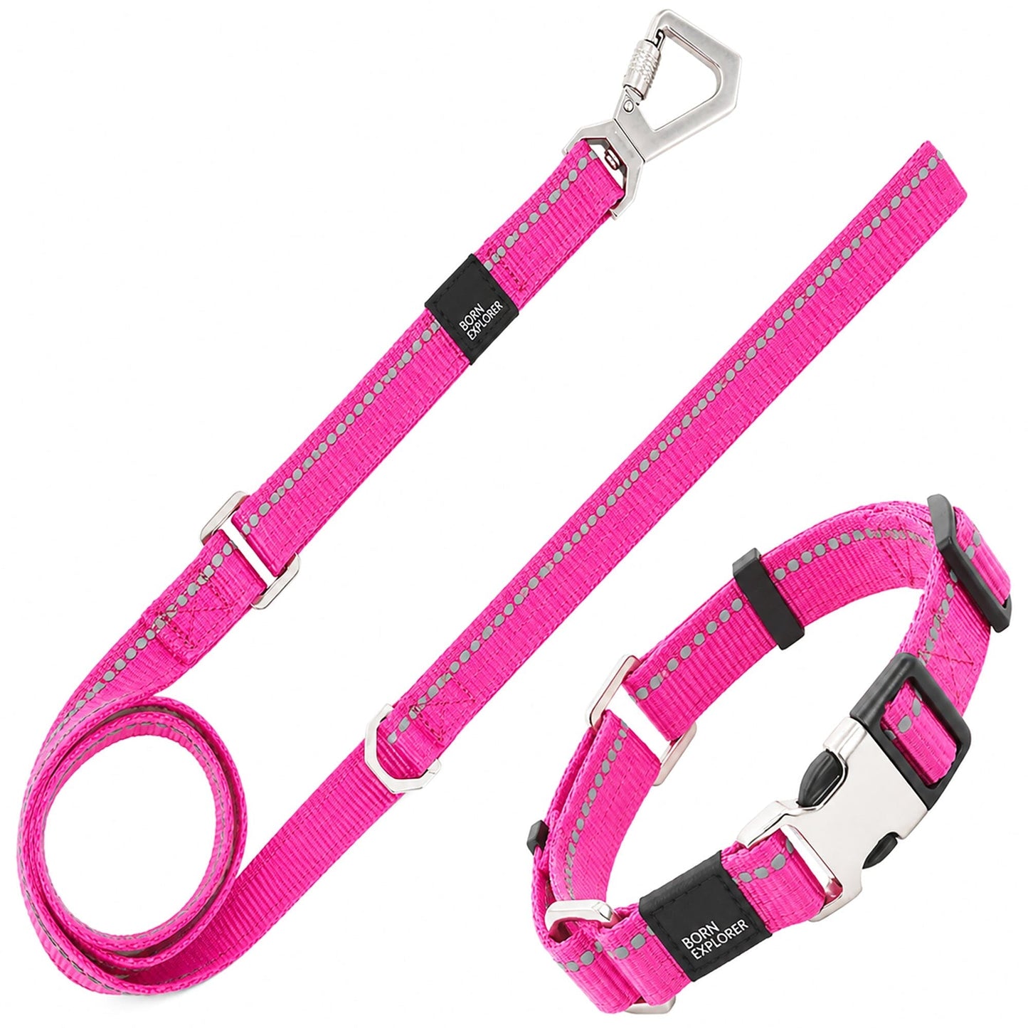 Dog Leash and Collar