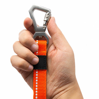 Dog Leash and Collar