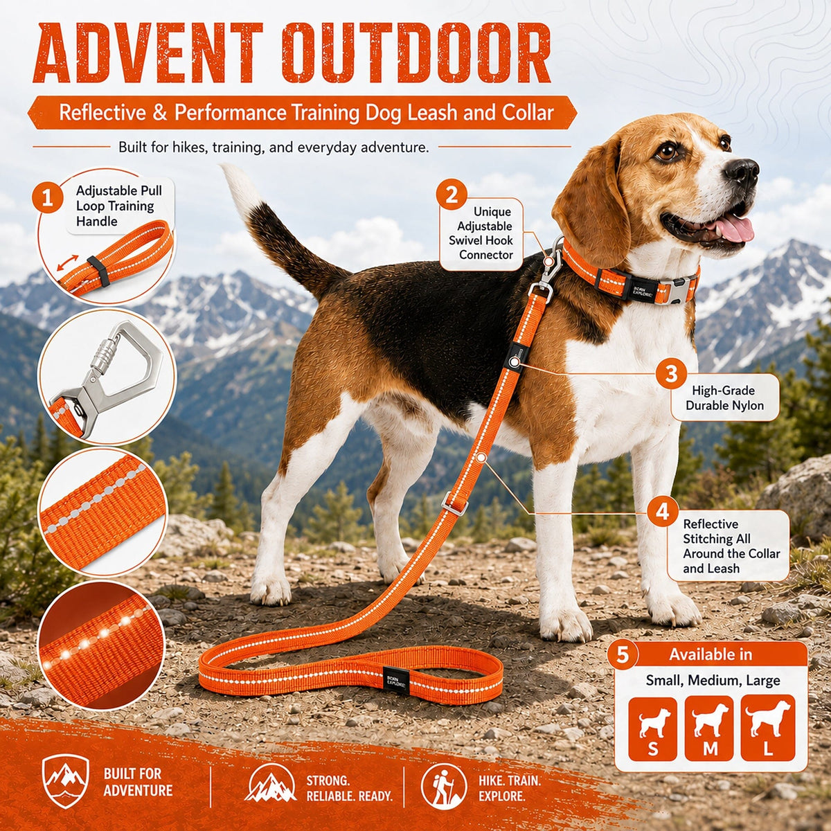 Dog Leash and Collar