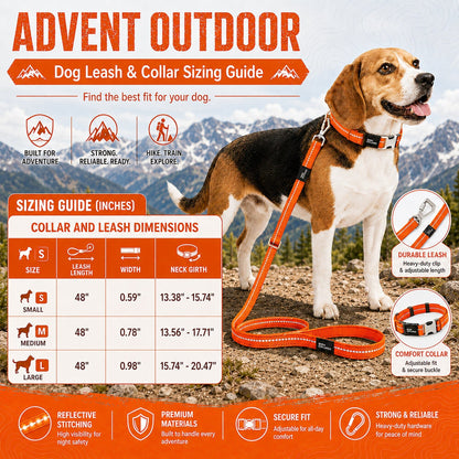 Dog Leash and Collar