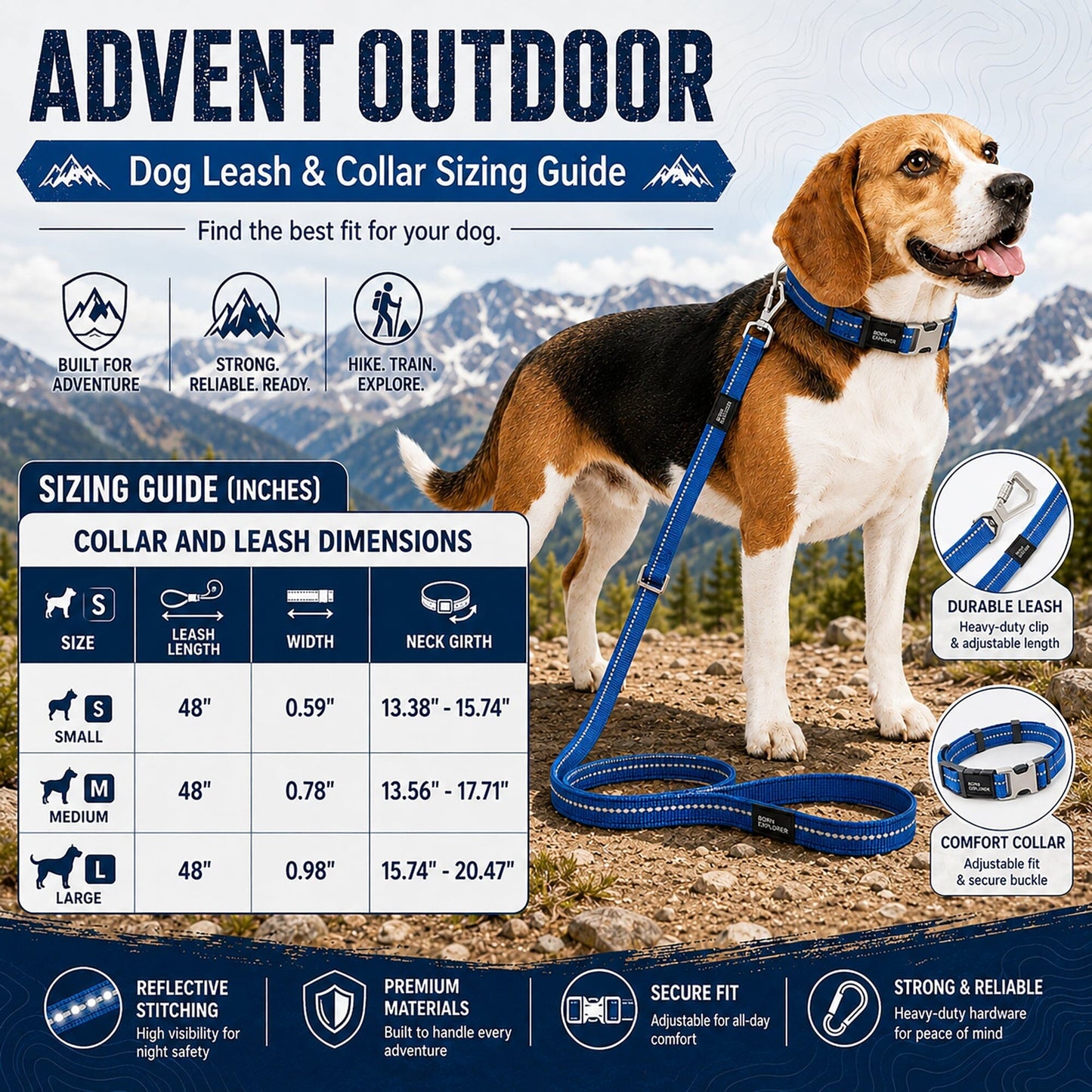 Dog Leash and Collar