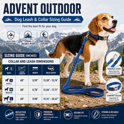 Dog Leash and Collar