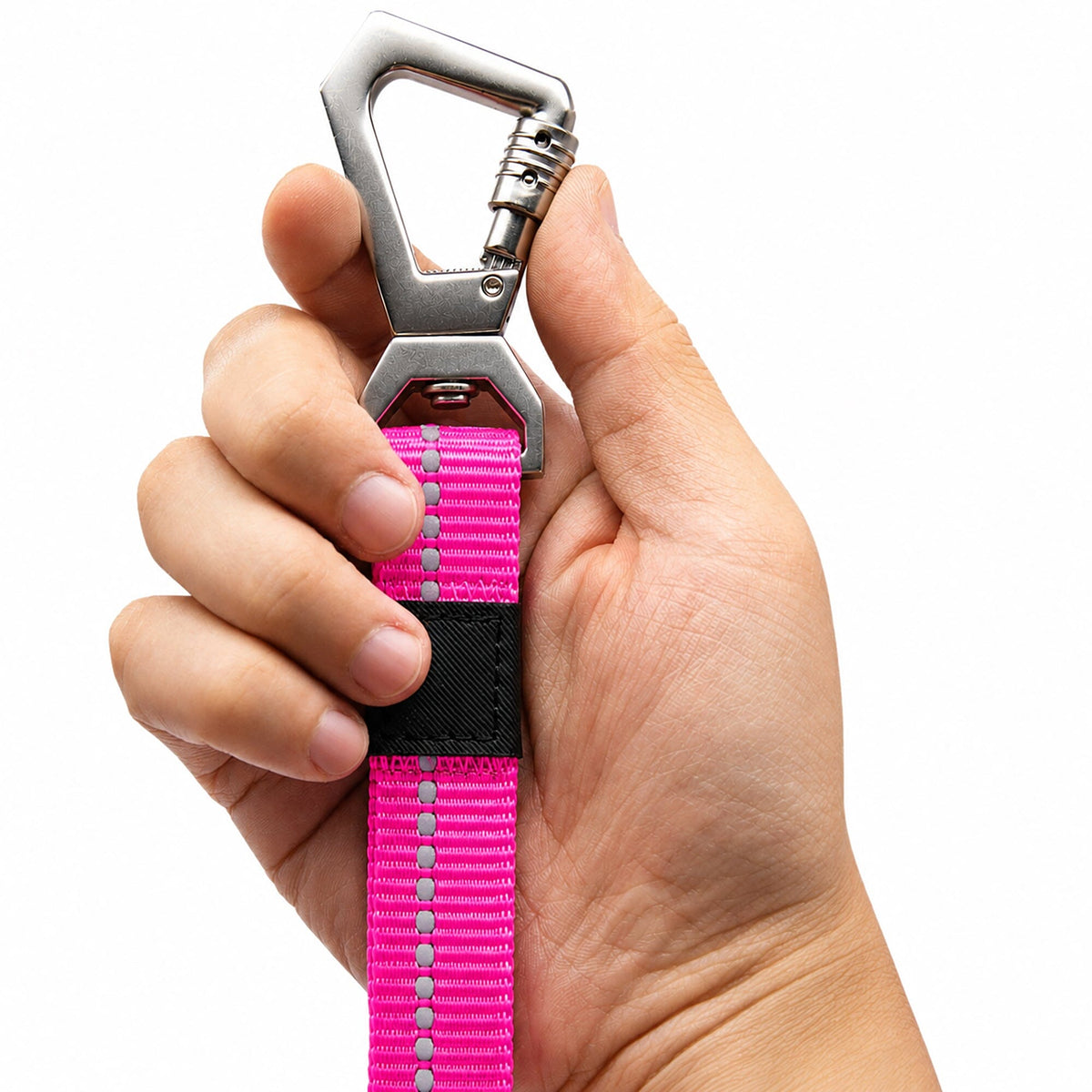 Dog Leash and Collar