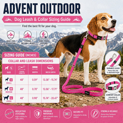 Dog Leash and Collar