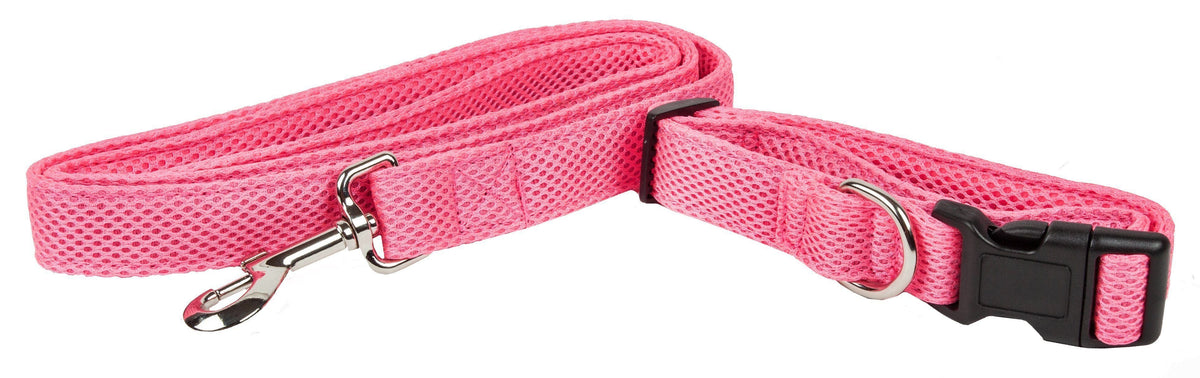 Mesh Dog Leash and Collar