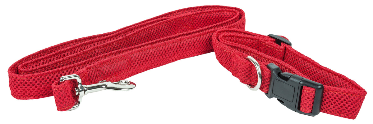 Mesh Dog Leash and Collar