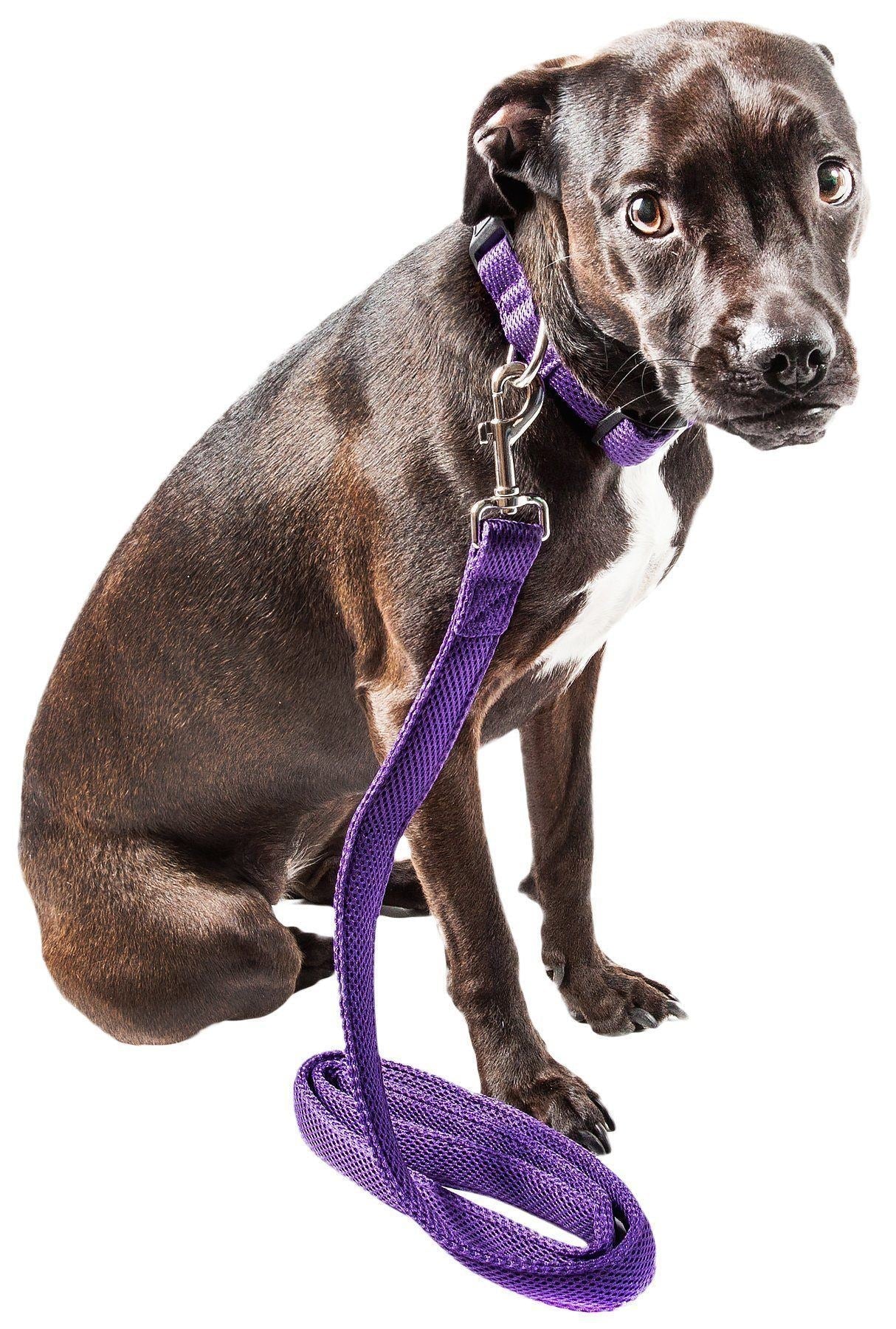 Mesh Dog Leash and Collar