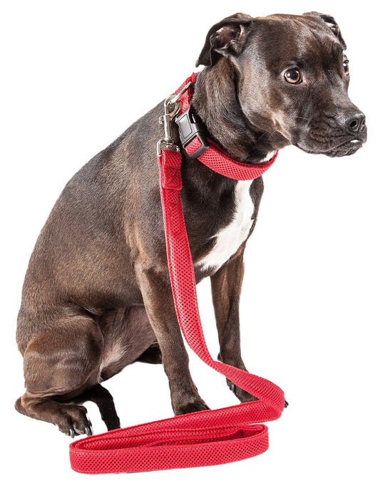 Mesh Dog Leash and Collar