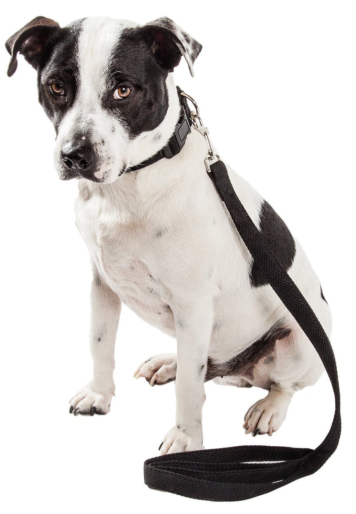 Mesh Dog Leash and Collar