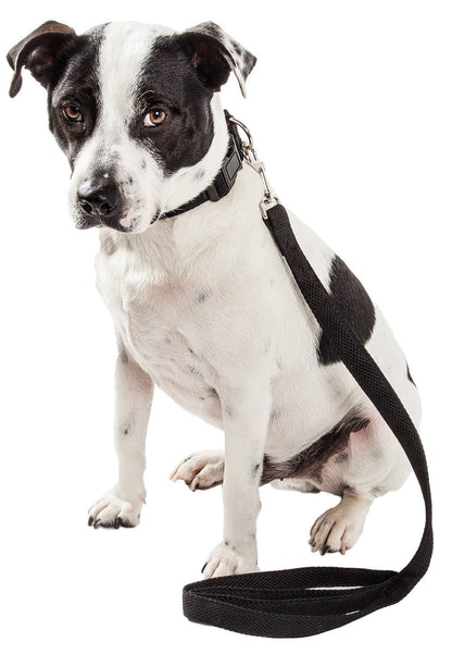 Mesh Dog Leash and Collar
