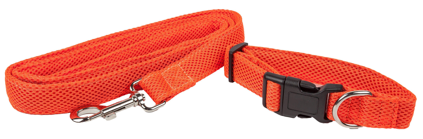Mesh Dog Leash and Collar