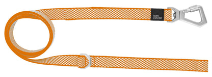 Dog Leash and Collar