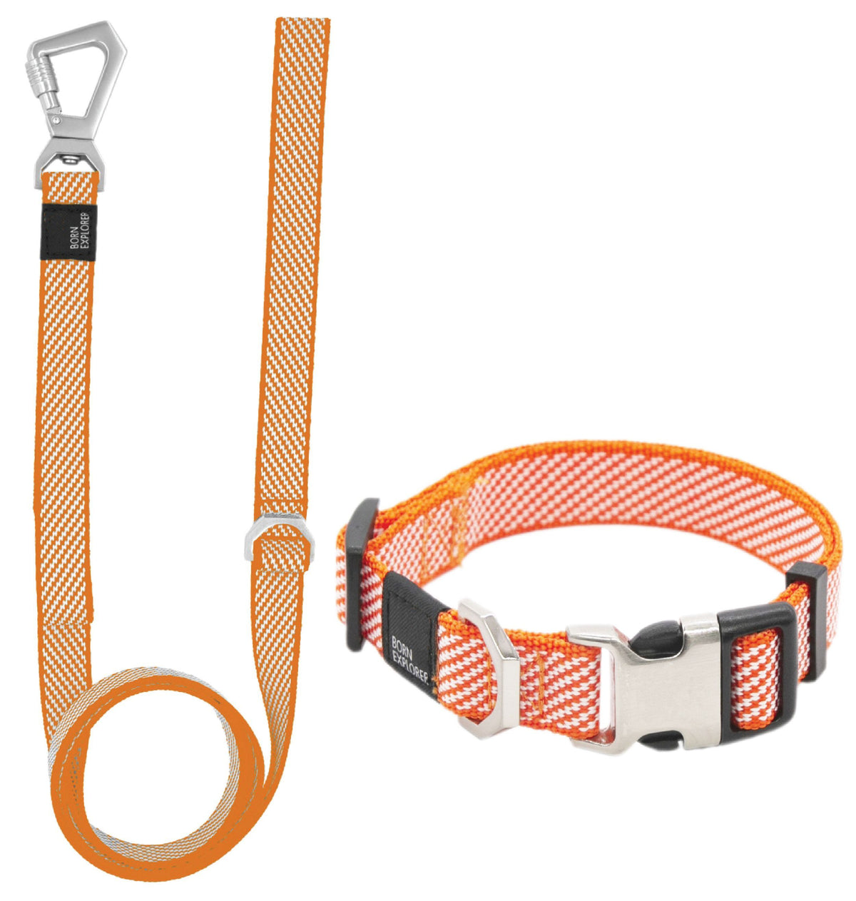 Dog Leash and Collar