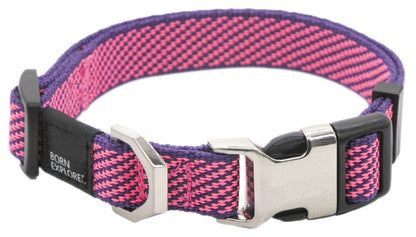 Dog Leash and Collar
