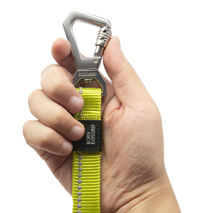 Dog Leash and Collar