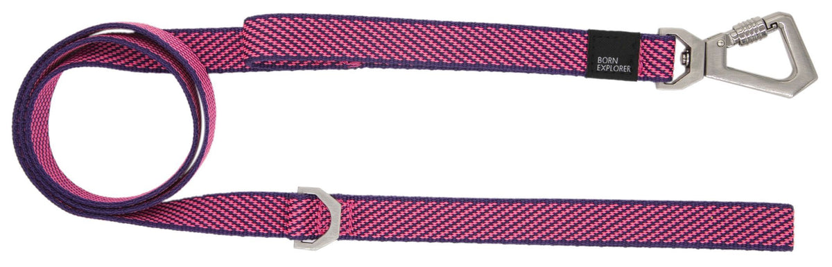 Dog Leash and Collar