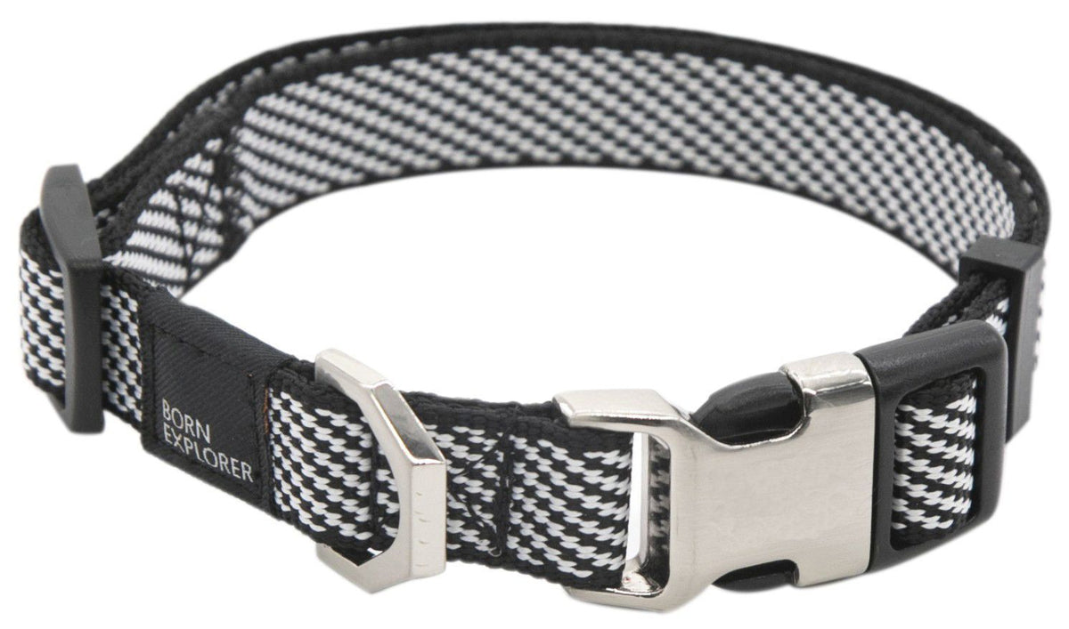 Dog Leash and Collar