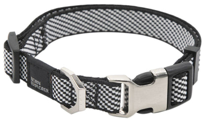 Dog Leash and Collar