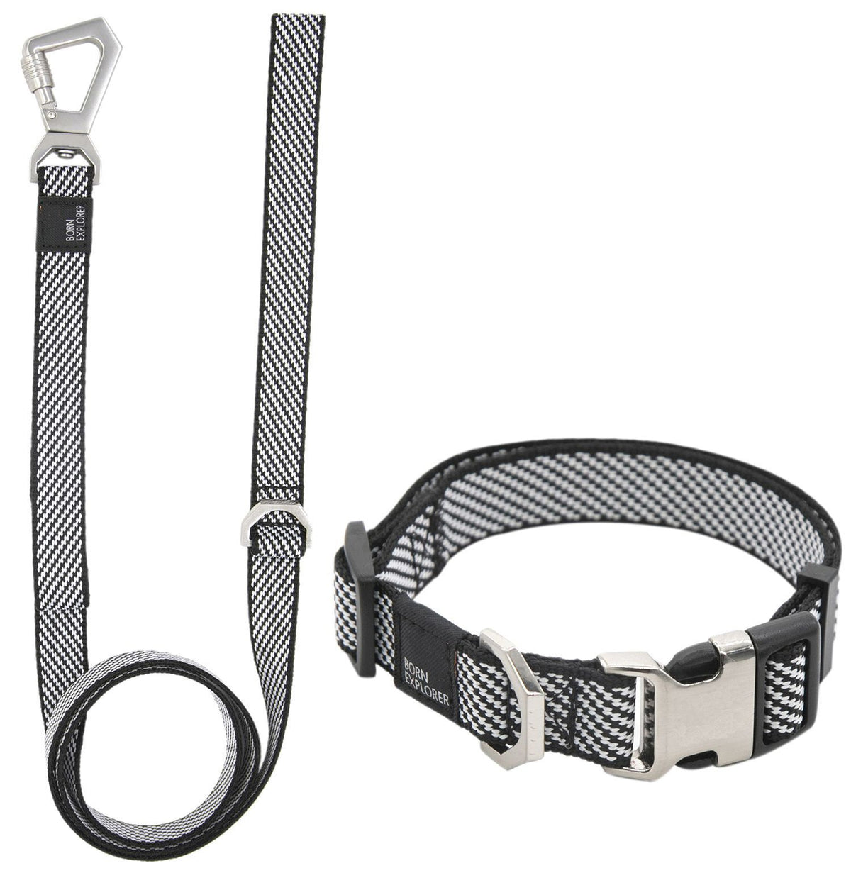 Dog Leash and Collar