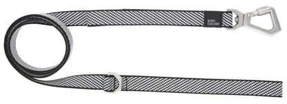 Dog Leash and Collar