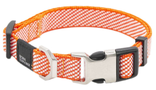 Dog Leash and Collar