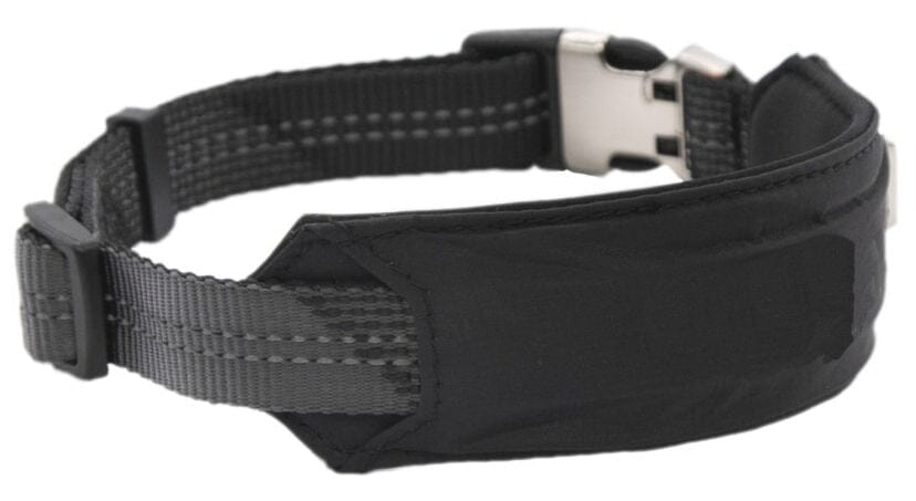 Leash and Collar