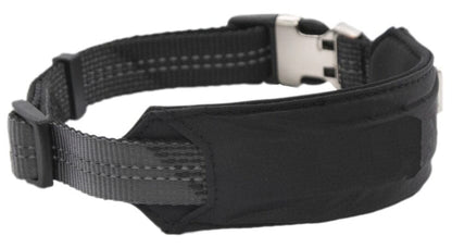 Leash and Collar