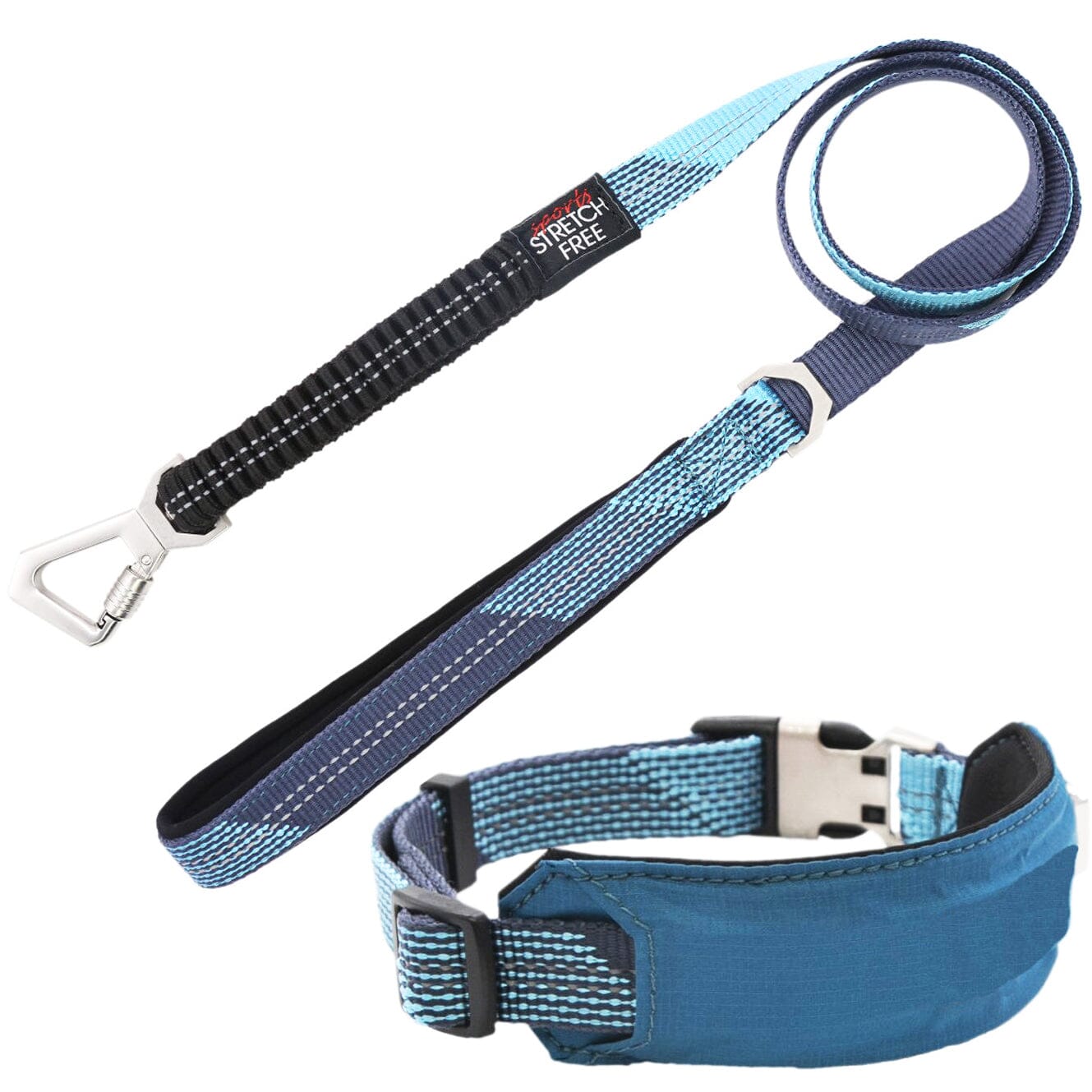 Leash and Collar