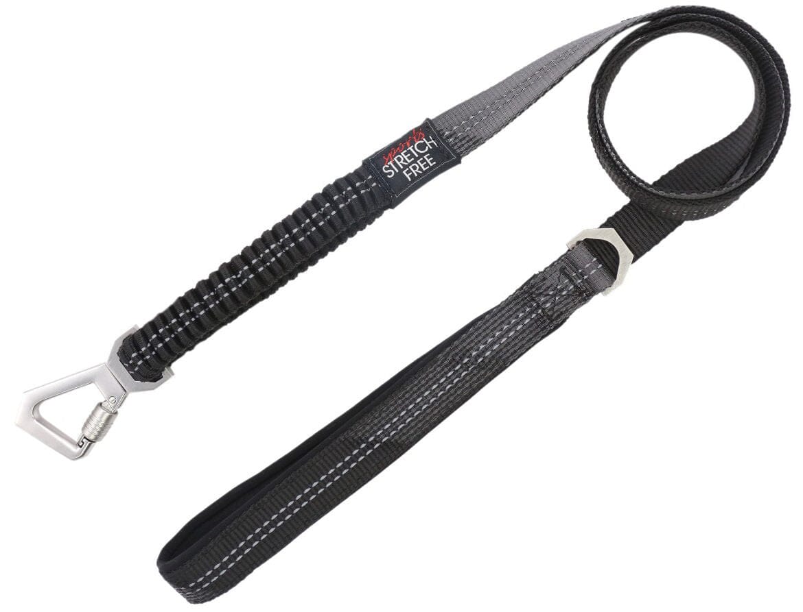 Leash and Collar