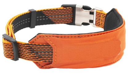 Leash and Collar