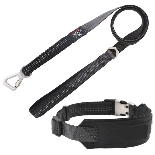 Leash and Collar