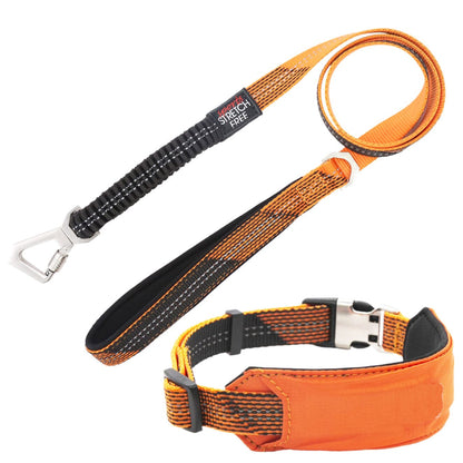 Leash and Collar