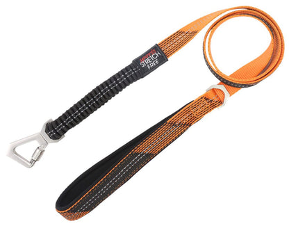 Leash and Collar
