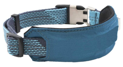 Leash and Collar