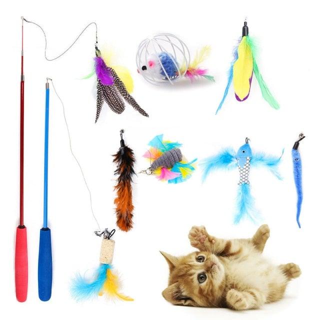 Pets Cat Toys