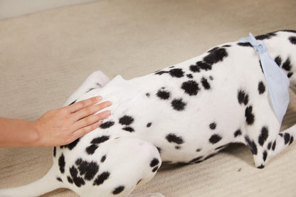 Dog & Cat Grooming Wipes