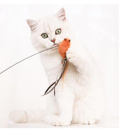 Feather Bird  Stick Toy