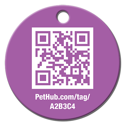 Pet ID Tag