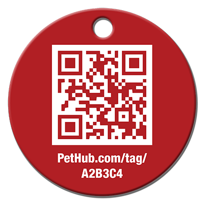 Pet ID Tag