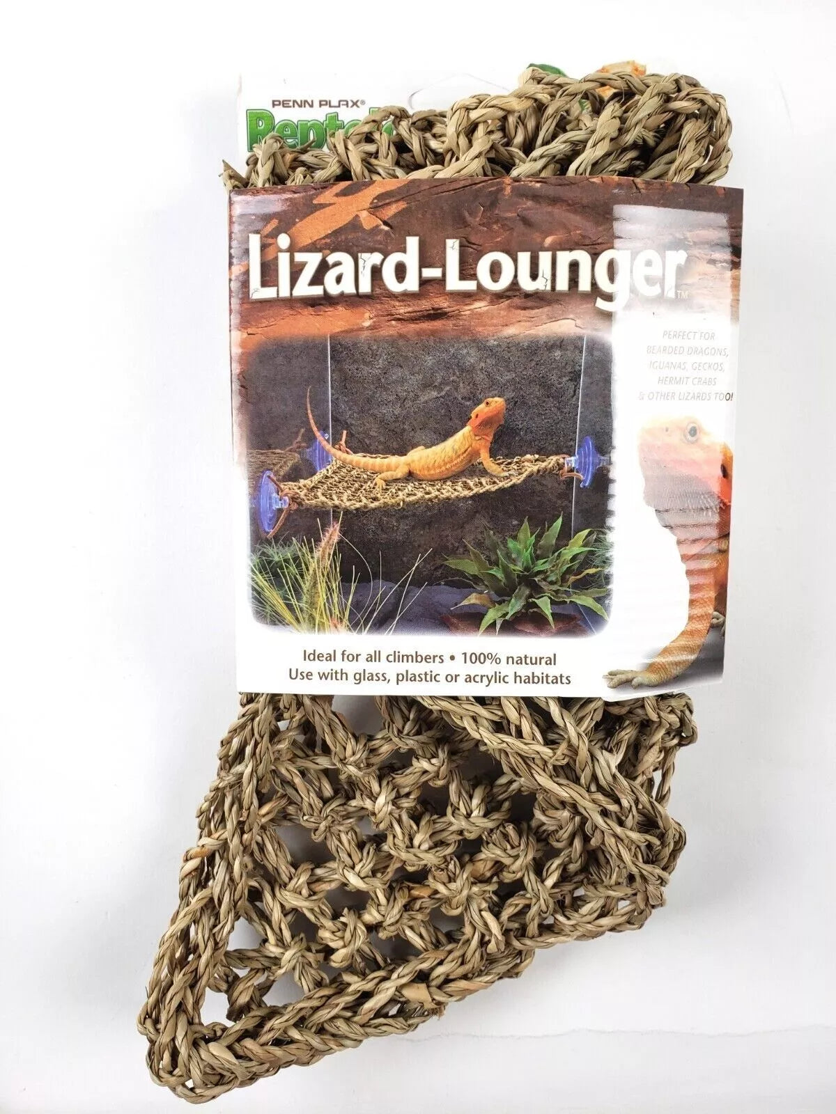 Lizard Lounger Corner