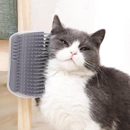 Cat Brush/Massager