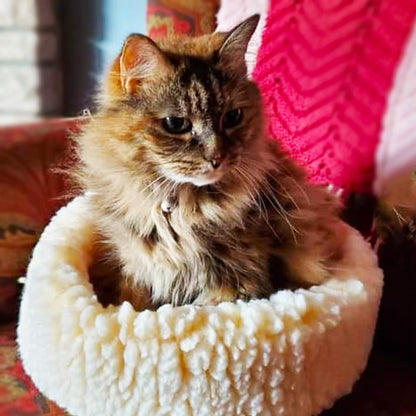 Cat & Dog Beds