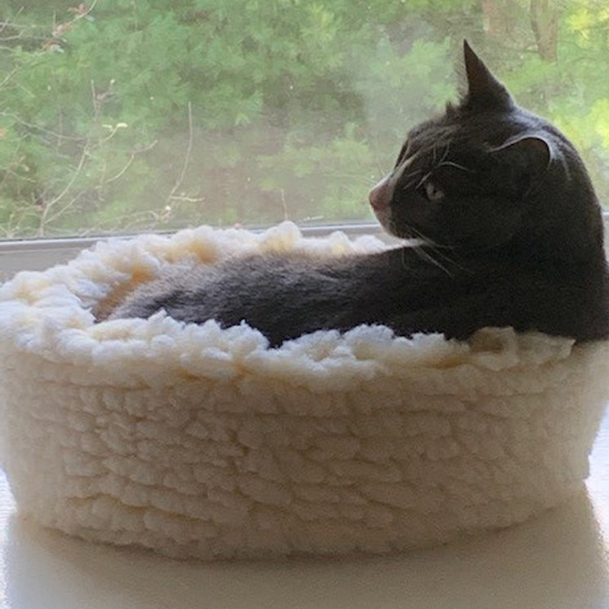 Cat & Dog Beds