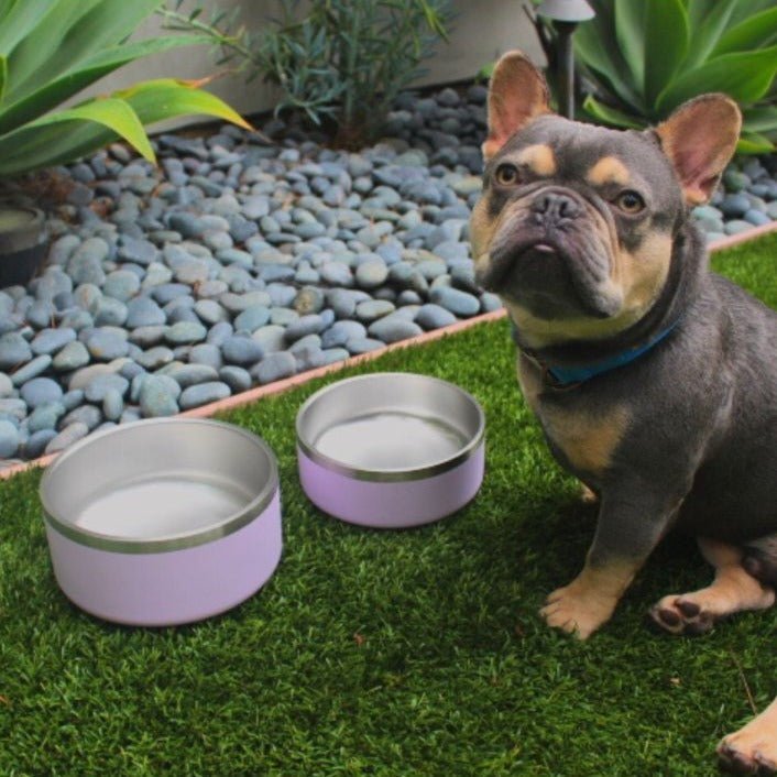 Stainless Steel Pet Bowl