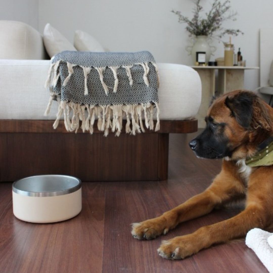 Stainless Steel Pet Bowl