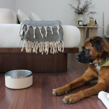 Stainless Steel Pet Bowl