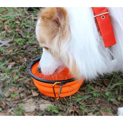 Silicone Dog Bowl