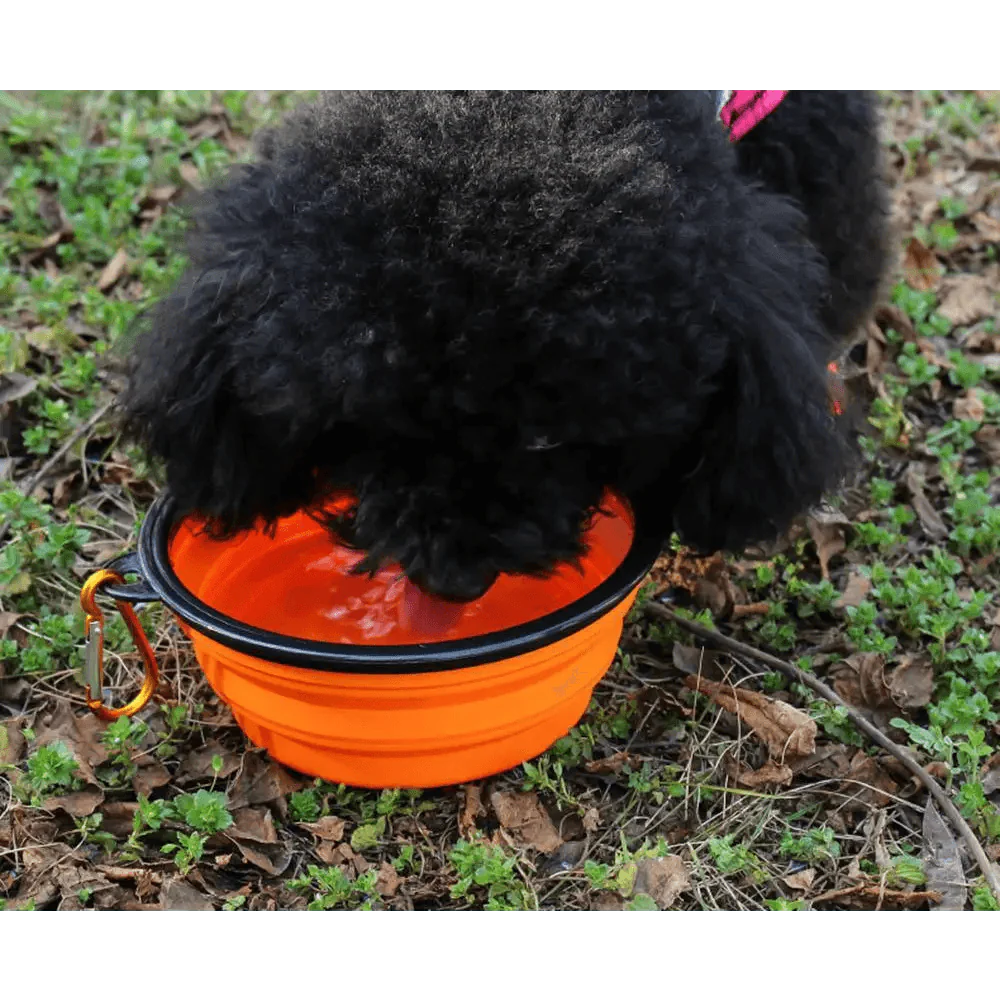 Silicone Dog Bowl