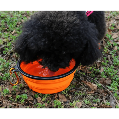 Silicone Dog Bowl