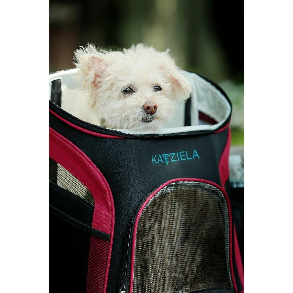 Pet Backpack Carrier